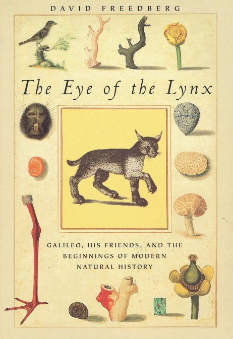 The eye of the lynx : Galileo