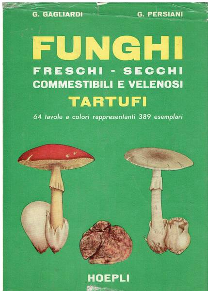 Funghi freschi