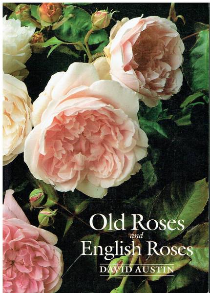 Old roses and english roses