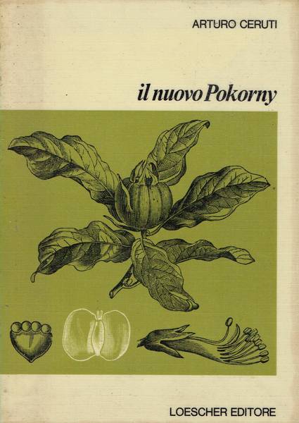 Il nuovo Pokorny : la botanica illustrata
